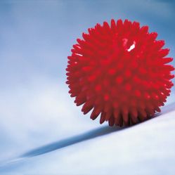 Wir sind Ihr Wegbegleiter bei Versicherungen, Altersvorsorge und Vermögensaufbau.