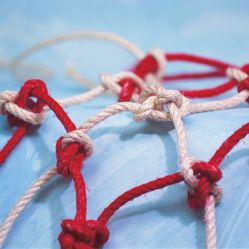 Seit 1978 Jahren zuverlässiger Partner unserer Kunden